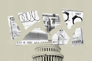 A photo collage shows barbed wire, the U.S.-Mexico border wall, a CBP officer holding a gun, and handcuffs incorporated on the pieces of a torn hundred dollar bill and blank check. The dome of the U.S. Capitol building is in the background.