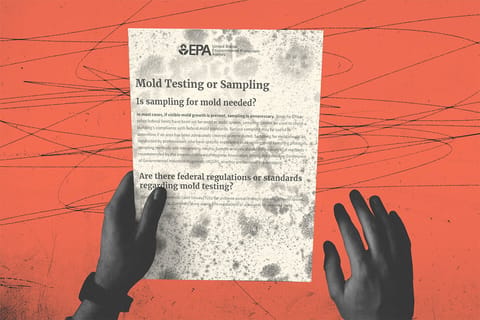 Collage of hands holding a moldy document. Text: EPA: Mold Testing or Sampling, Is sampling of mold needed?