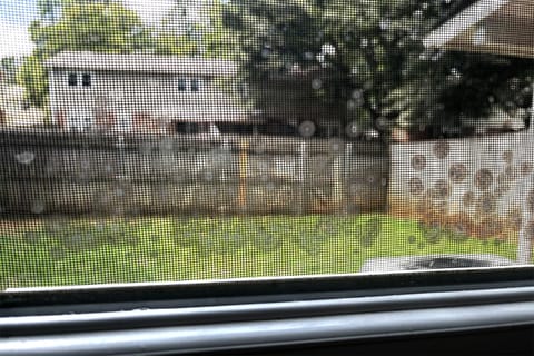 A window screen covered in what appears to be brown circular mold spores.