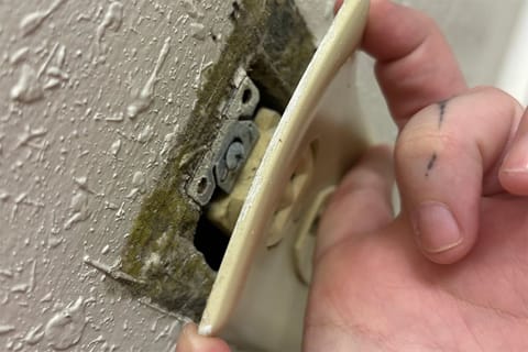 A hand pulls an outlet cover from the wall, exposing what appears to be green fuzzy mold.