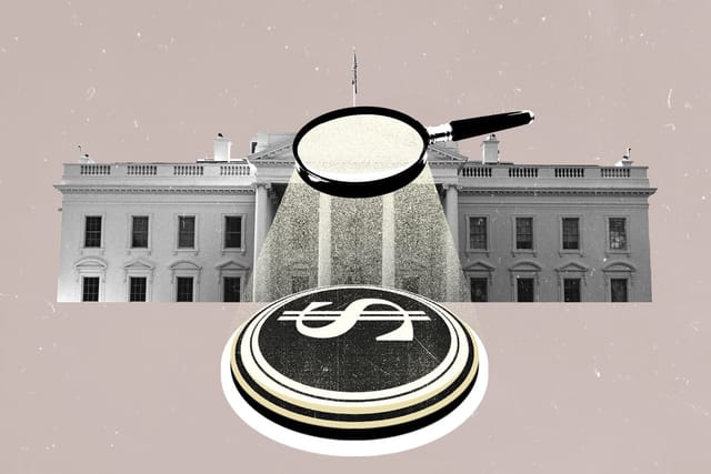 A photo collage shows a magnifying glass shining a spotlight on the Department of Government Efficiency logo in front of the White House building.
