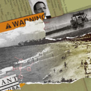 A photograph of beach resort in Maui, Hawaii is surrounded by torn warning labels, chemical maps, and a tractor spraying pesticides.
